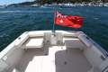 Back Cove 26