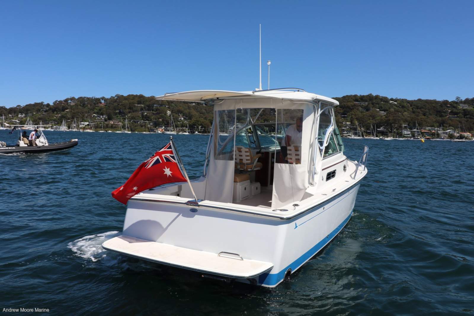 Back Cove 26