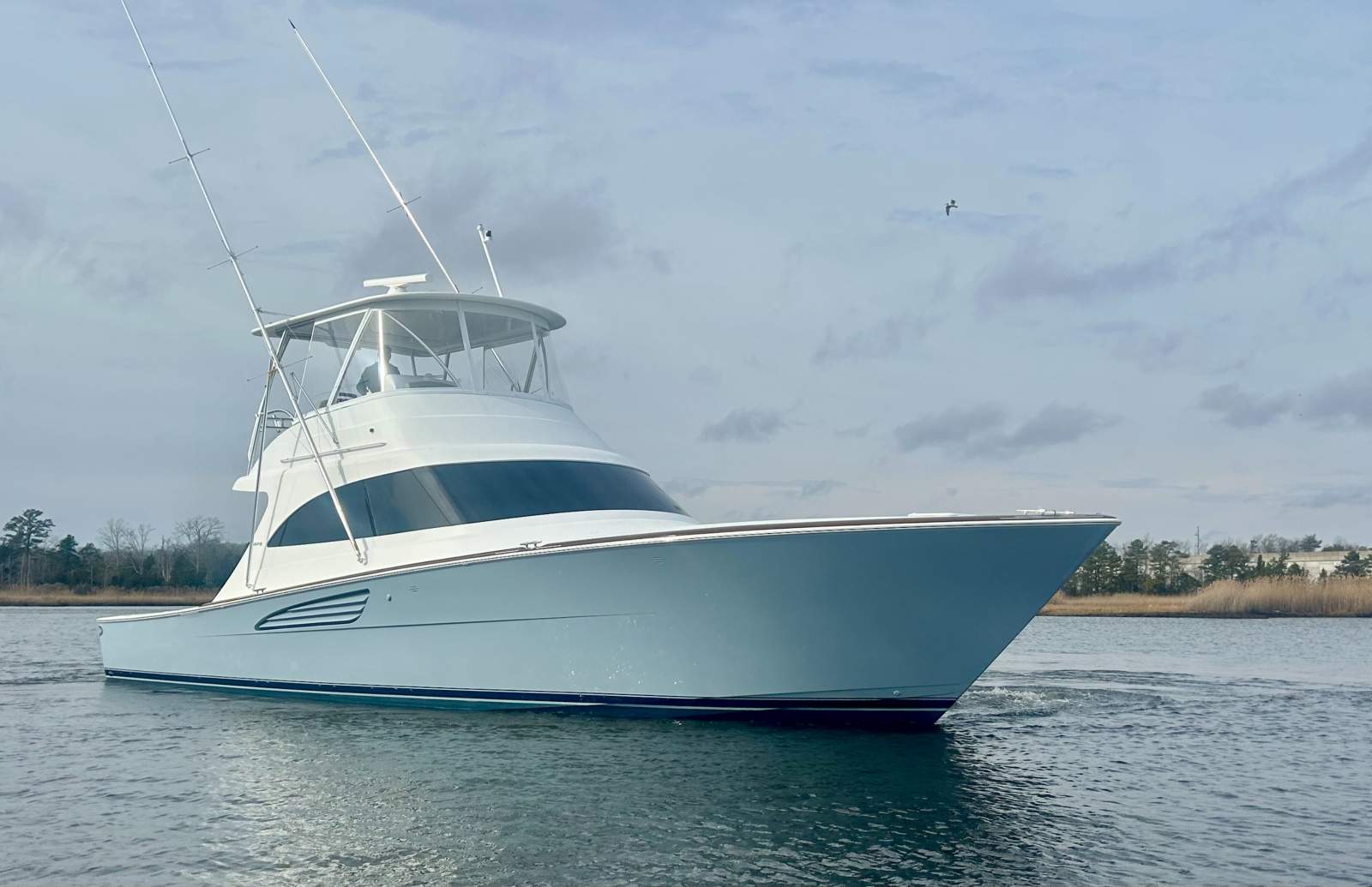Viking 50 Billfish
