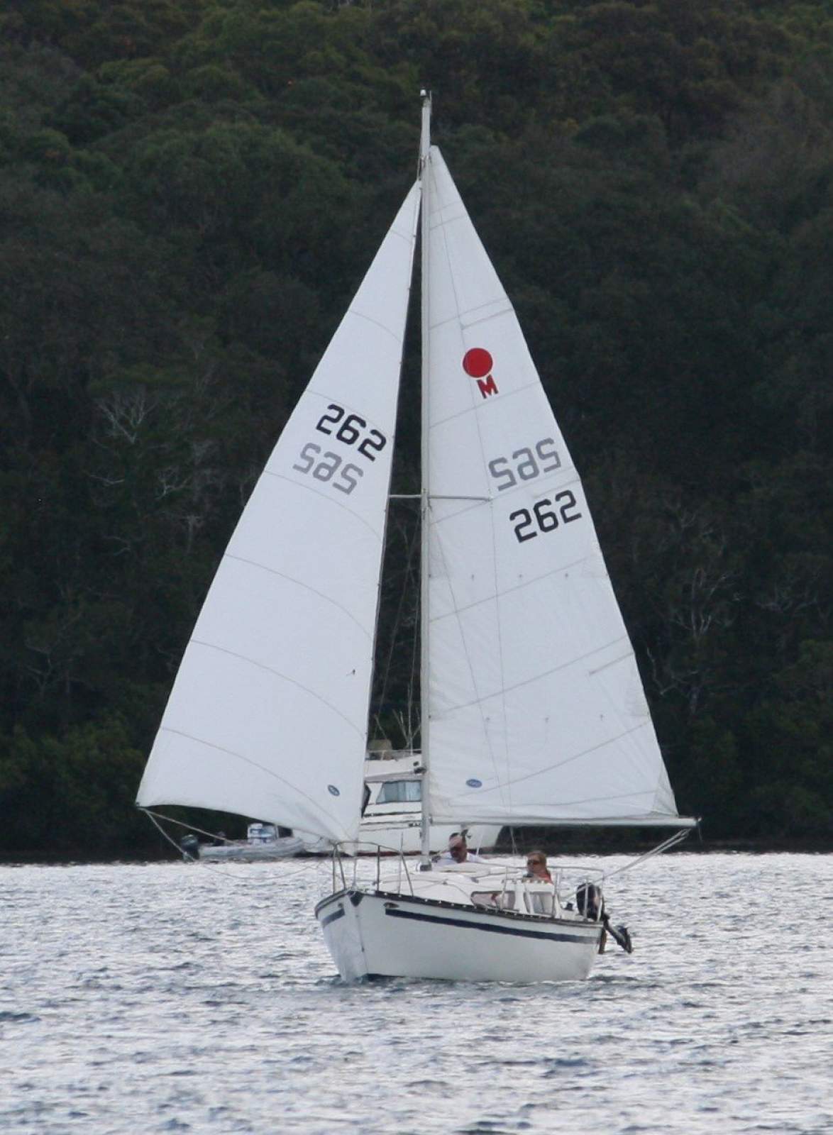 Sunmaid 20