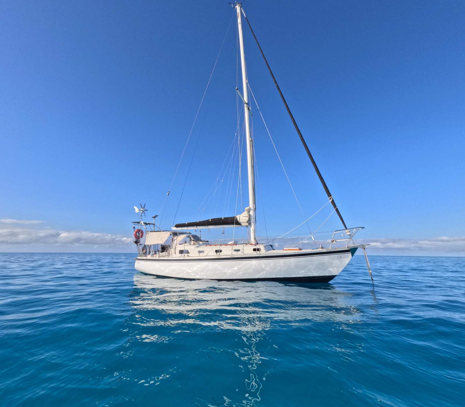 Swanson 36 'Calista'