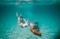 Established Luxury Charter Vessel Package - Rare Opportunity! Established Luxury Charter Vessel Package - Rare Opportunity!