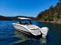 Sea Ray 270 SDX OB
