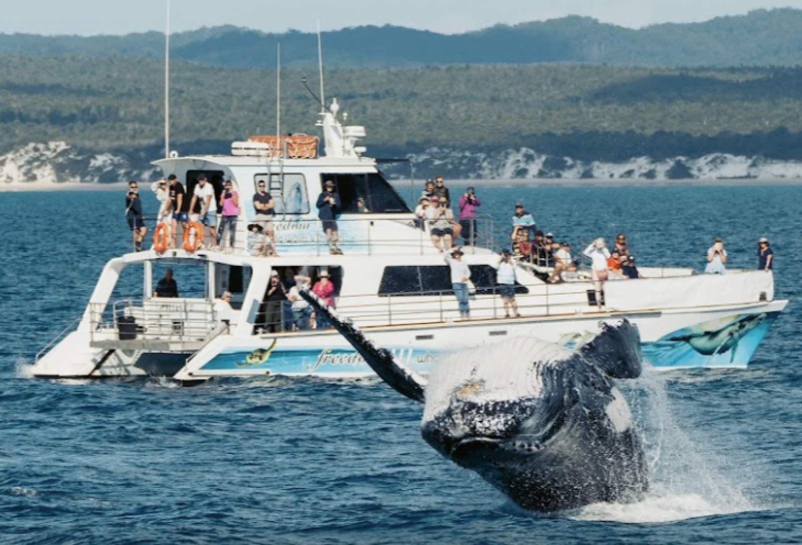 Crowther Vessel designed for Filmmaker Ben Cropp