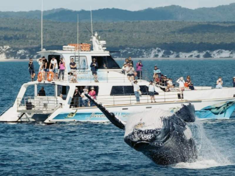 Crowther Vessel designed for Filmmaker Ben Cropp