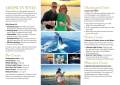 Conquest 55