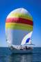 Bluey Williams Sloop