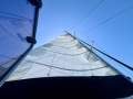 Grainger 40 Bluewater Catamaran:Fully battened mainsail