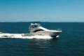 Sea Ray 58 Sedan Bridge