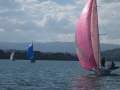 Knuckles 6.0 Sports Boat