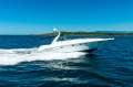 Sea Ray 460 Sundancer - 2001 Model