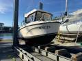 Arvor 625 Sportsfish