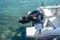 Arvor 625 Sportsfish