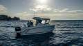 Arvor 625 Sportsfish