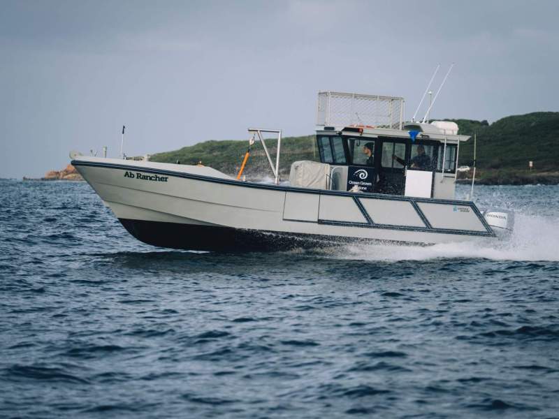 Cordina Marine 10m Dive Vessel