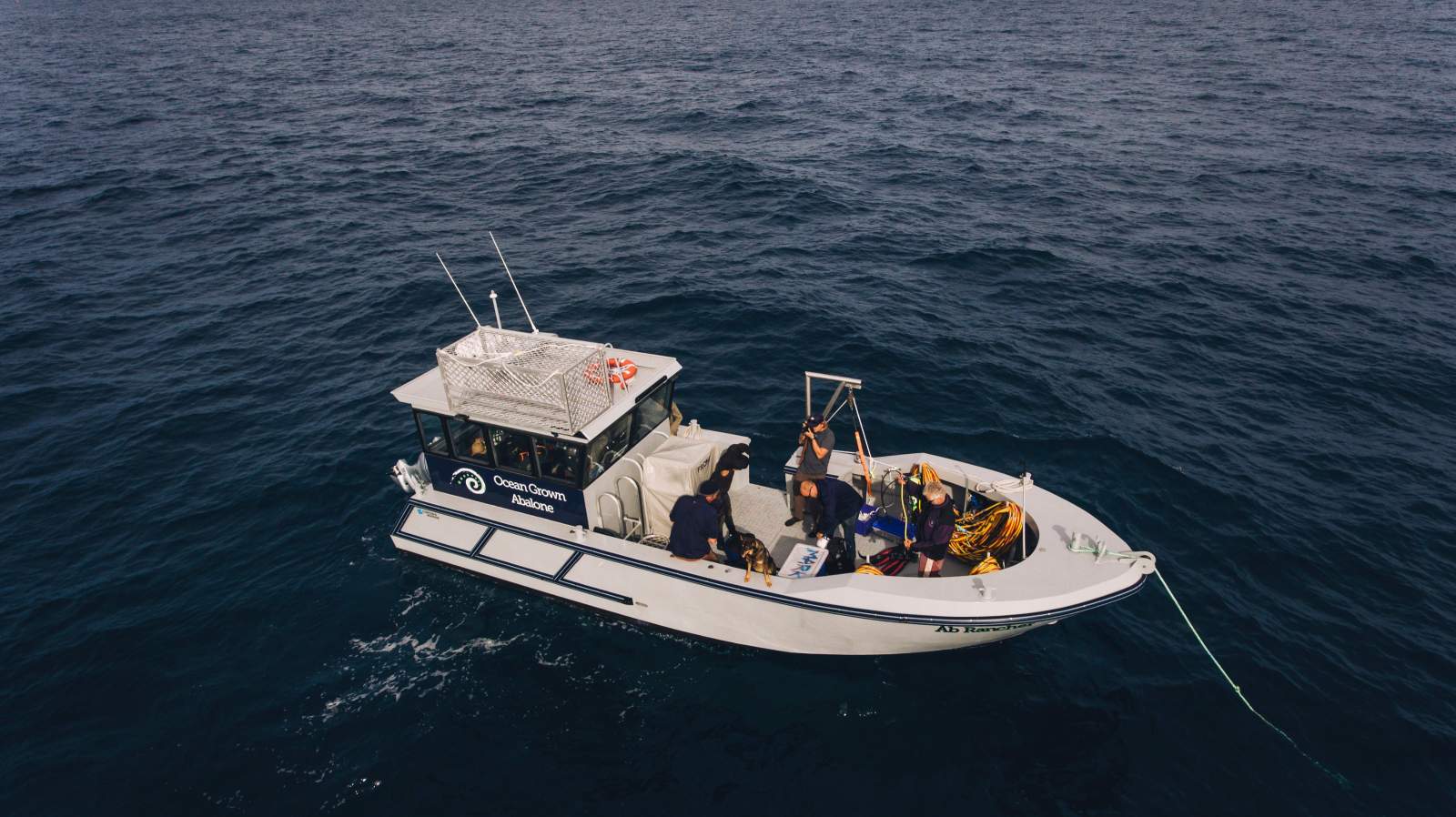 Cordina Marine 10m Dive Vessel