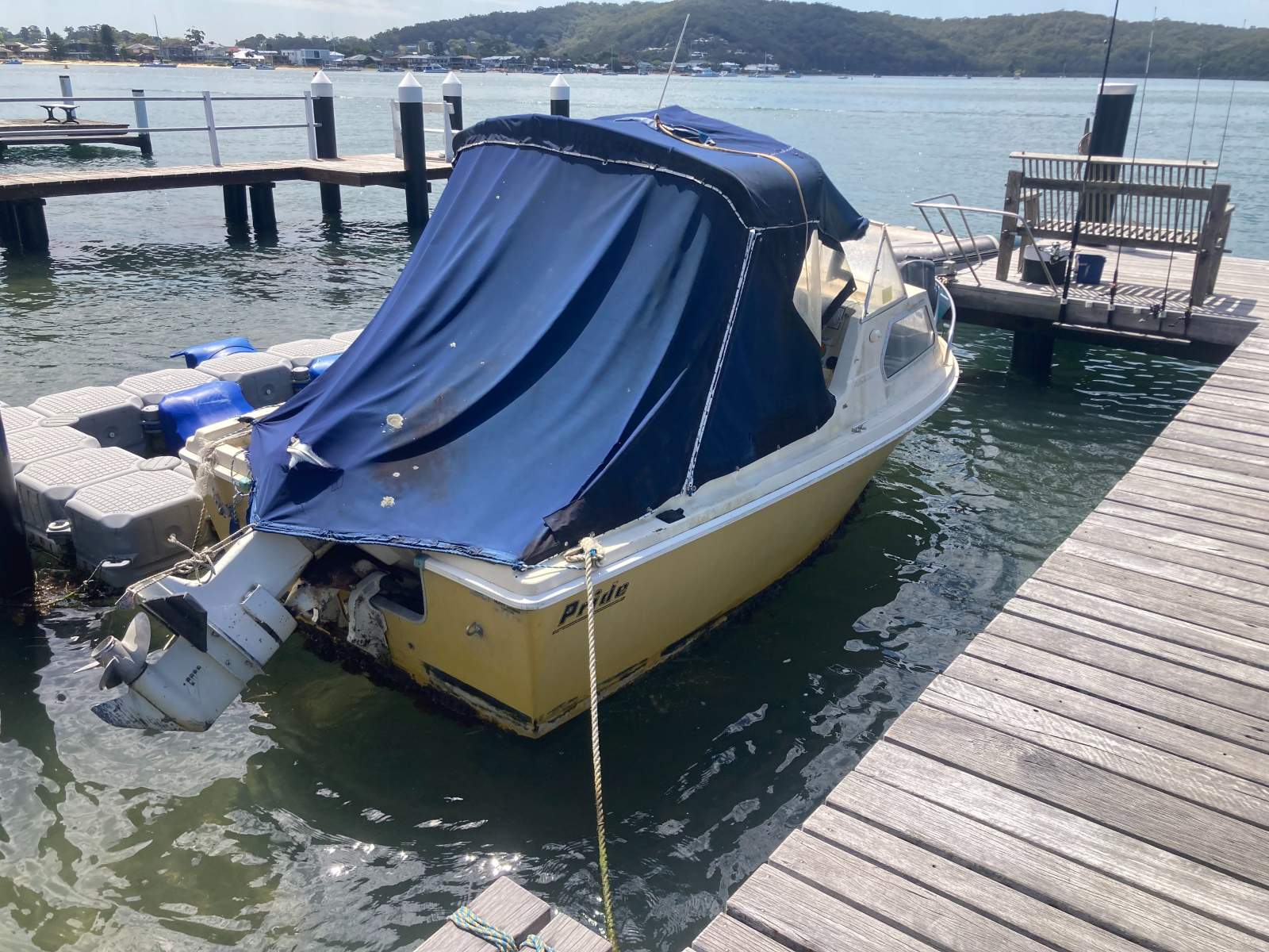 Pride Palomino Pittwater NSW