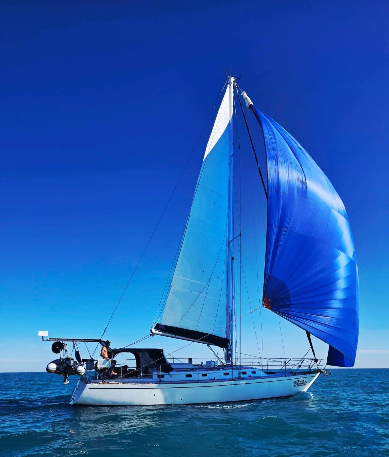 Adams 44 Carina