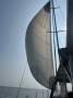 Adams 44 Carina
