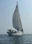 Adams 44 Carina