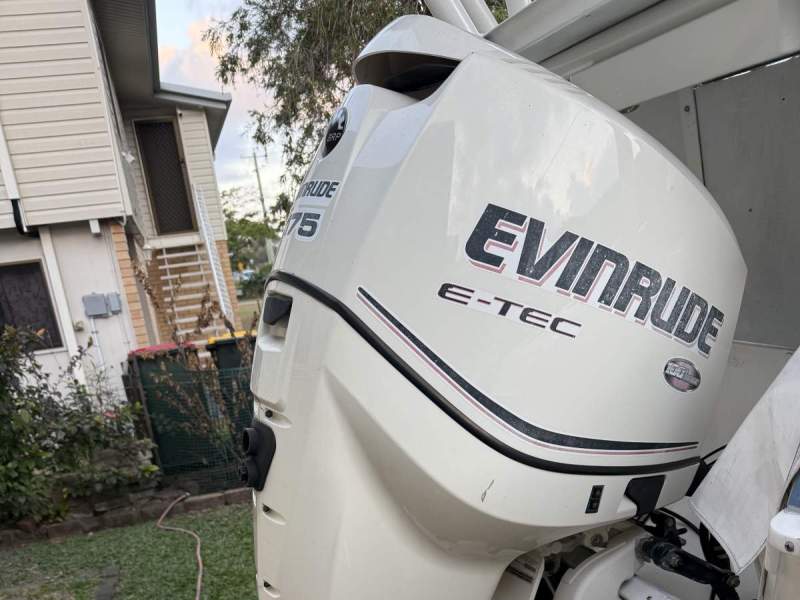 Evinrude etec 175 2008