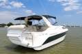 Bayliner 305 Ciera