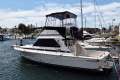 Bertram 35 Flybridge - RECENT SURVEY MAY 2024