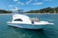 Luhrs 36