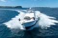 Luhrs 36