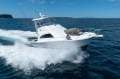 Luhrs 36