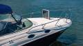 Sea Ray 315 Sundancer