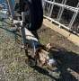 2016 Roadmaster Steel Trailer