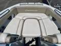 Crownline E235