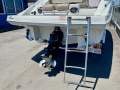 Crownline E235