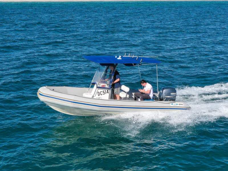 Gemini 6.0 RIB