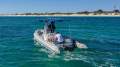 Gemini 6.0 RIB