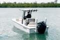 Twin Vee 22 Baycat - 200hp outboards Including Licenced Trailer Twin Vee 22 Baycat - 200hp outboards Including Licenced Trailer