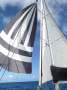 Compu-craft:Spinnaker with sock - there is a 2nd one - much larger that weve never used