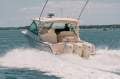 Grady-White Freedom 375 Grady-White Freedom 375