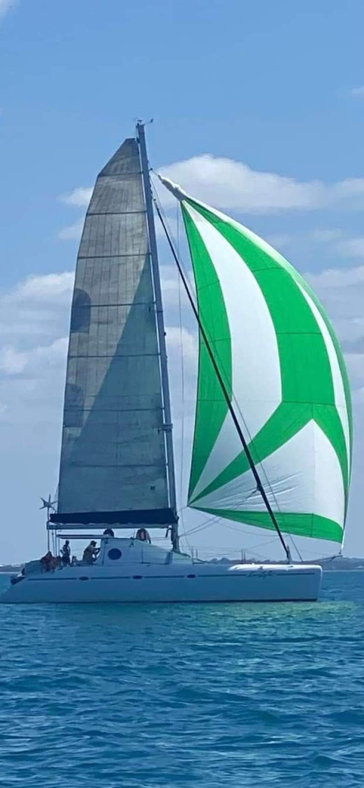 Schionning Waterline 1320 Performance Cruiser:Pre new mainsail