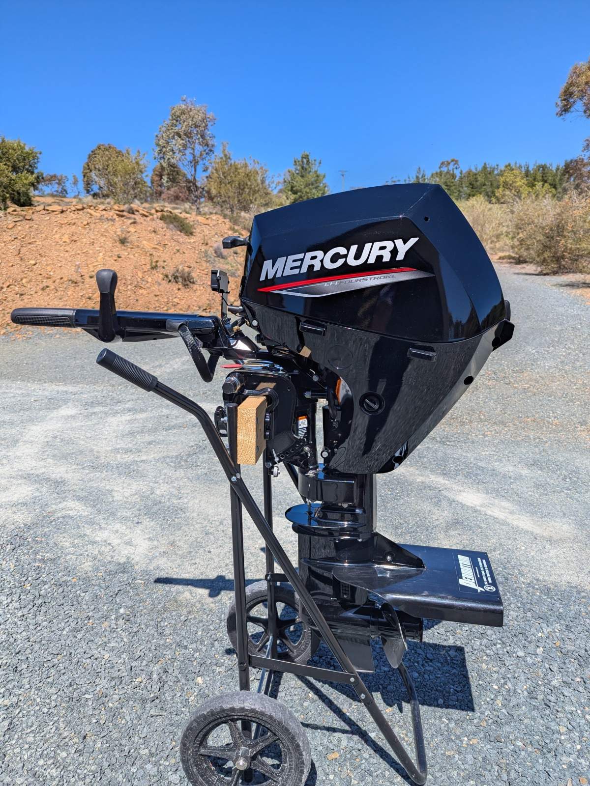 Mercury 15hp EFI Tiller Steer