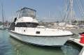 Harriscraft 38 Flybridge Cruiser, "Sold As Is Where Is" Harriscraft 38 Flybridge Cruiser, "Sold As Is Where Is"
