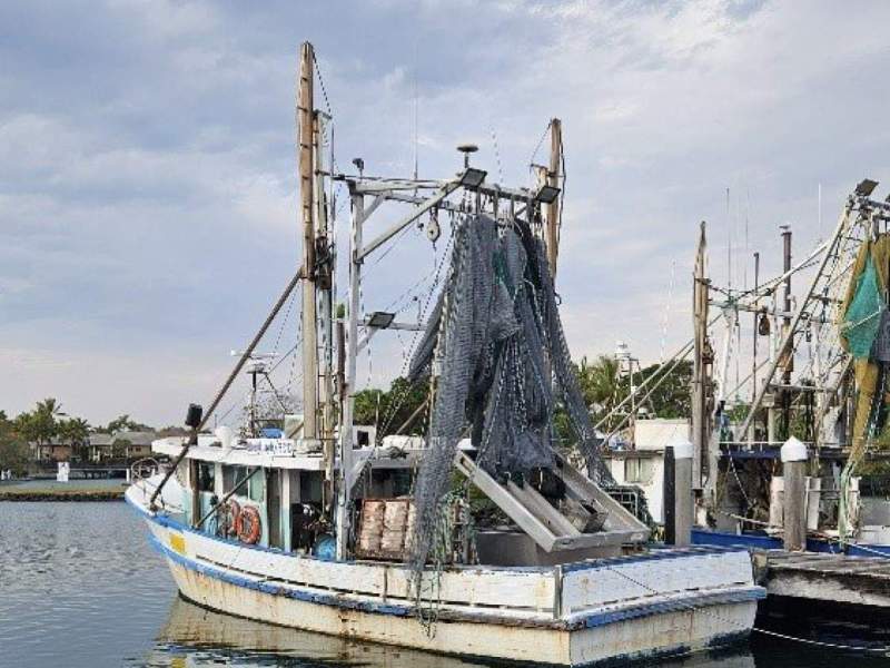 TS639 15.37m Ashleigh Jayde