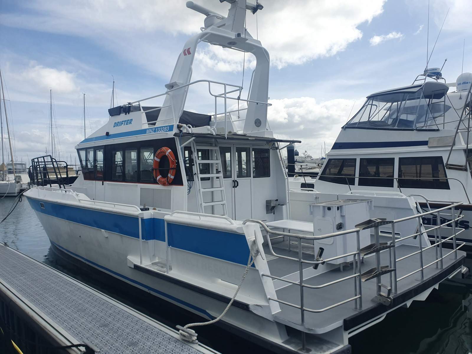 Scott Robson Surveyed Alloy Cat Scott Robson Surveyed Alloy Cat