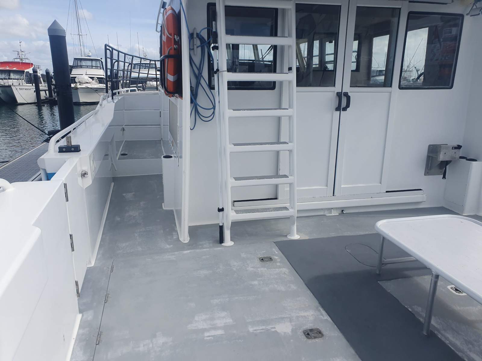 Scott Robson Surveyed Alloy Cat Scott Robson Surveyed Alloy Cat