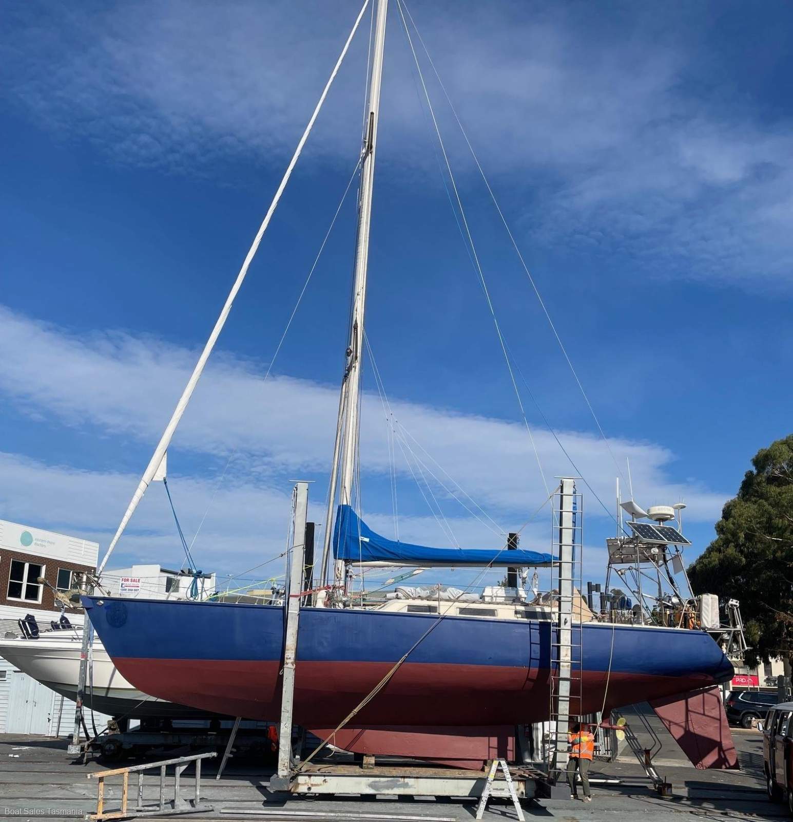 Adams 40 Rosinante