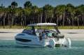 Aquila 32 Sport -Nimble performance and dayboating luxury
