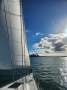 Hanse 400 Epoxy, Bowthruster, Loaded, inc delivery!:Sailing into Auckland
