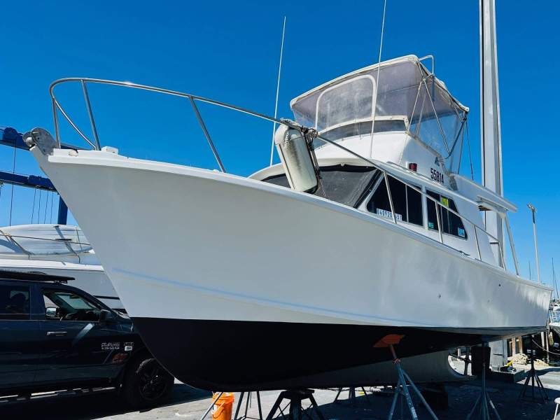 Marko Sambrailo Drago