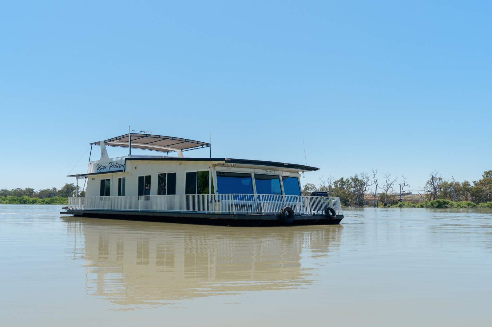 River Pelican:River Pelican